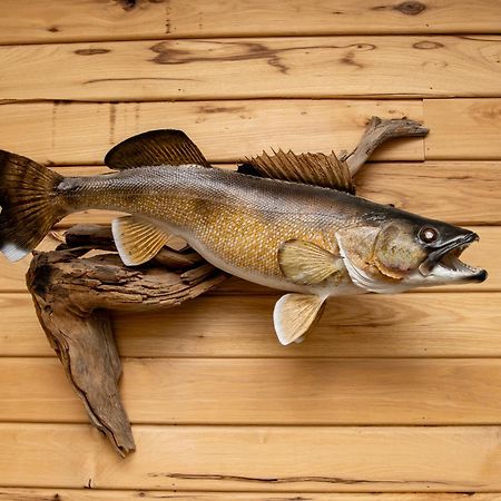 Walleye Inn Baudette 外观 照片