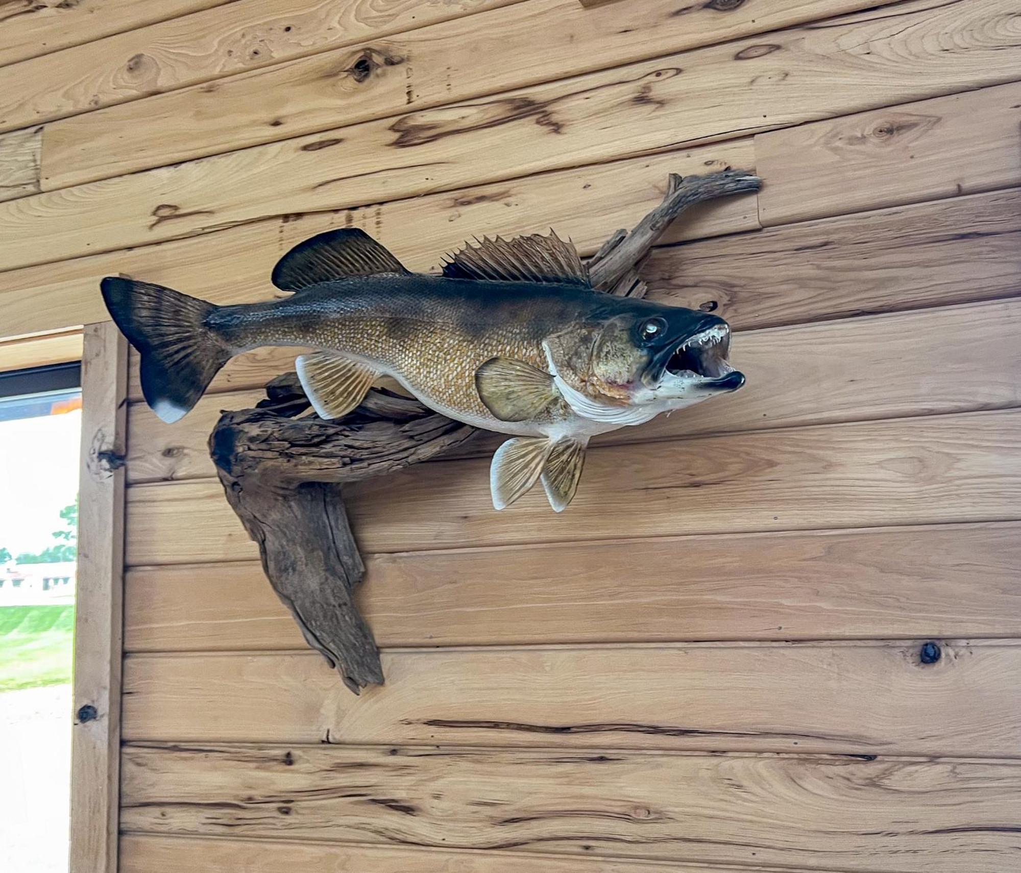 Walleye Inn Baudette 外观 照片