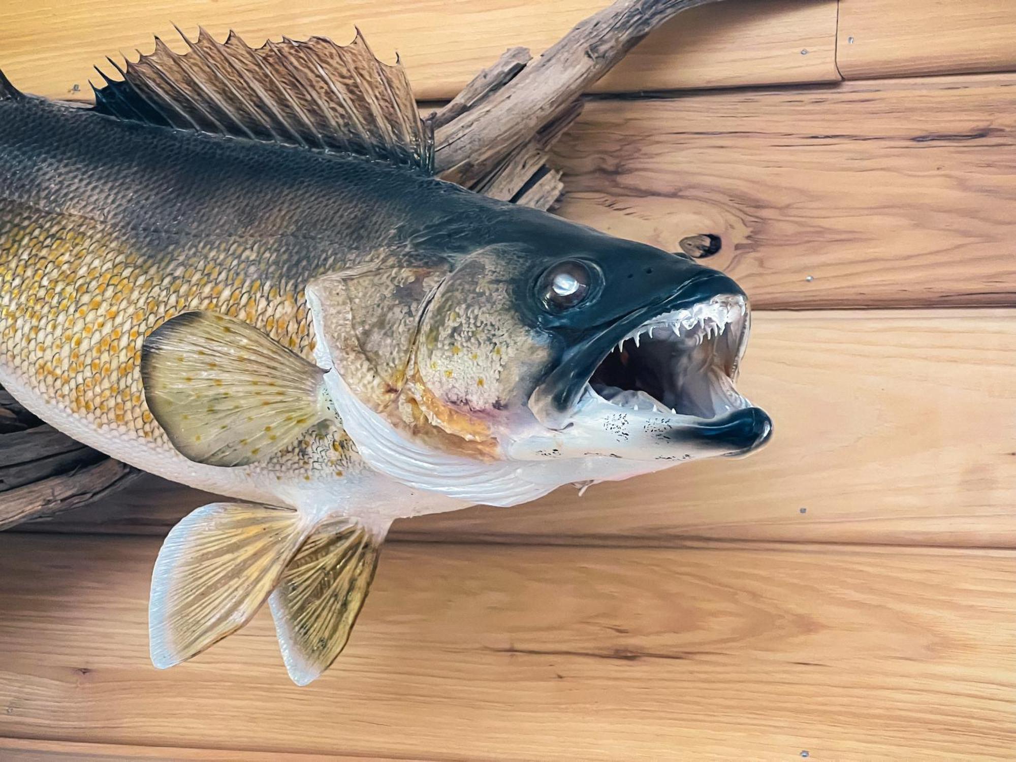Walleye Inn Baudette 外观 照片